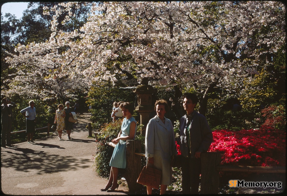 Japanese Tea Garden