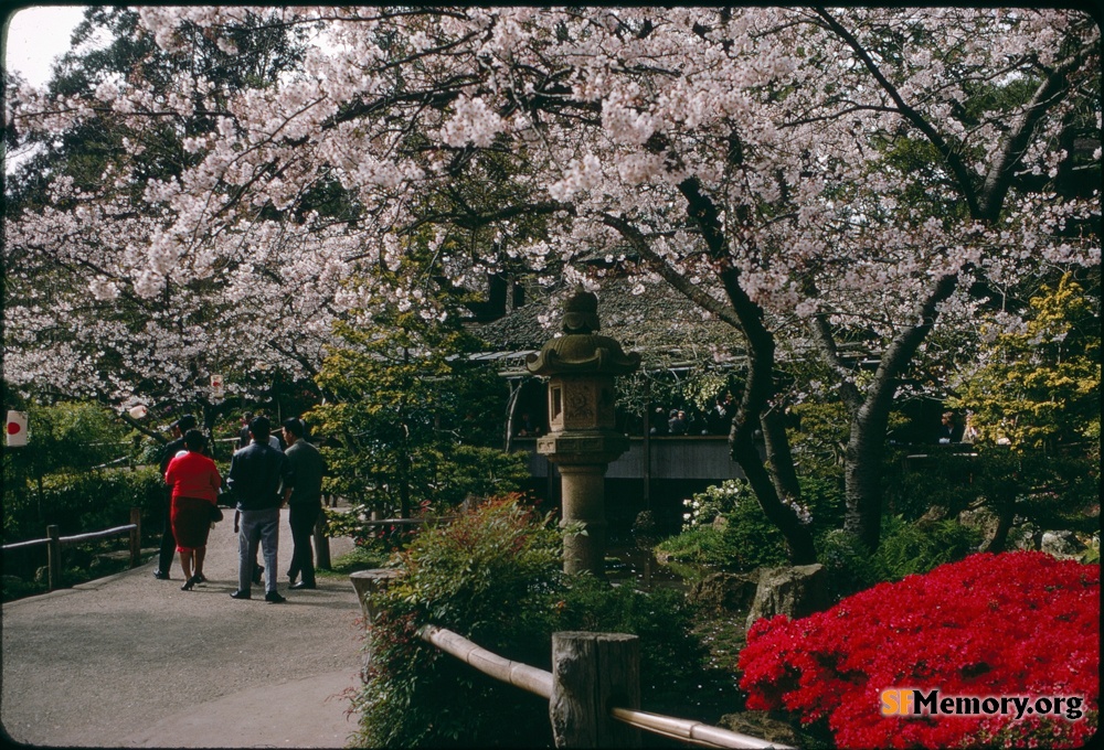 Japanese Tea Garden