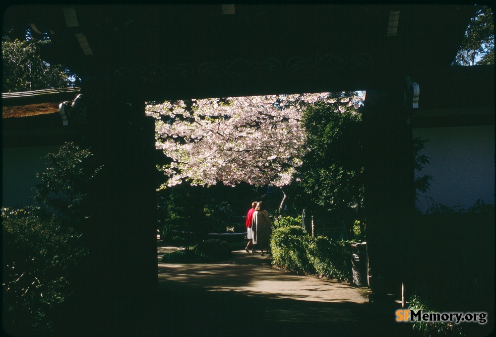 Japanese Tea Garden