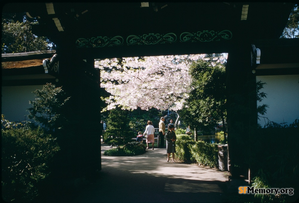 Japanese Tea Garden