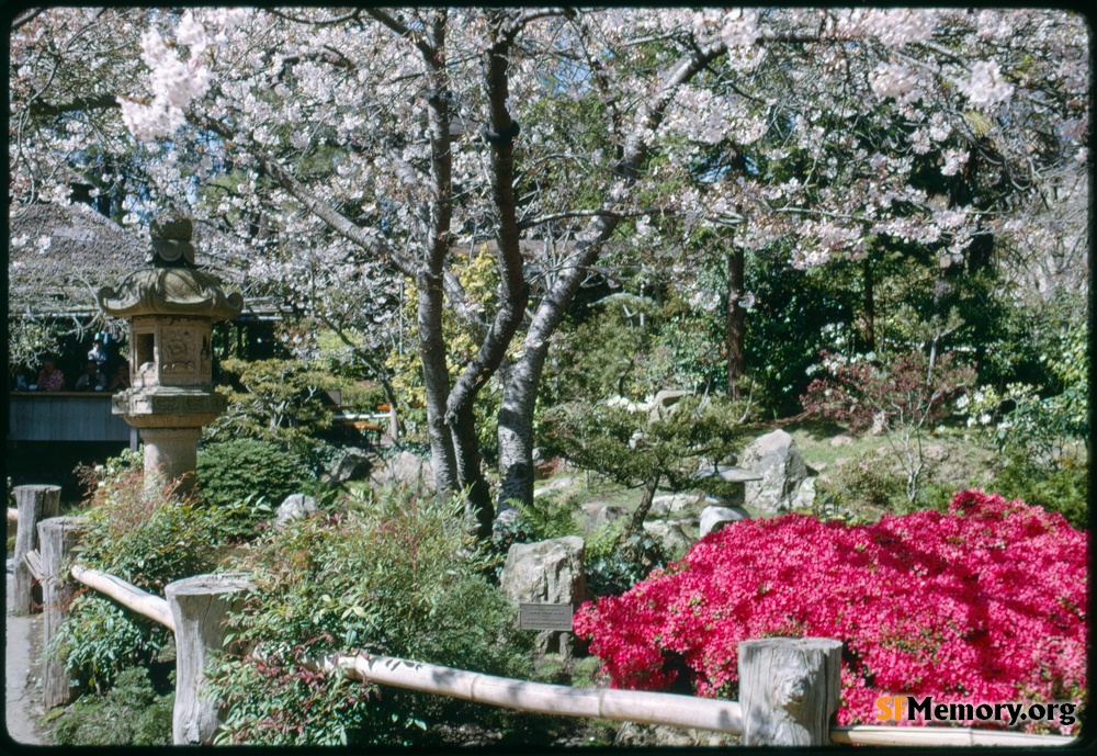 Japanese Tea Garden