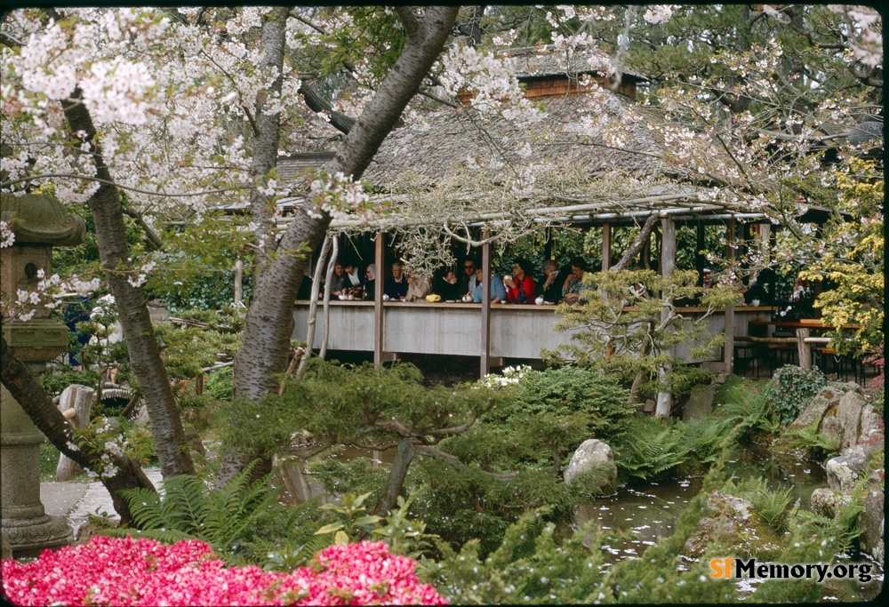 Japanese Tea Garden