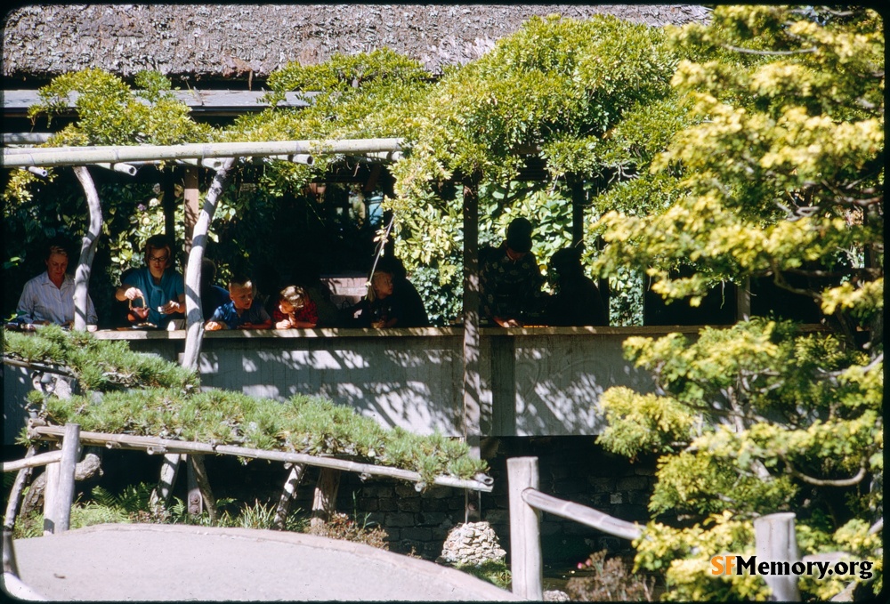 Japanese Tea Garden