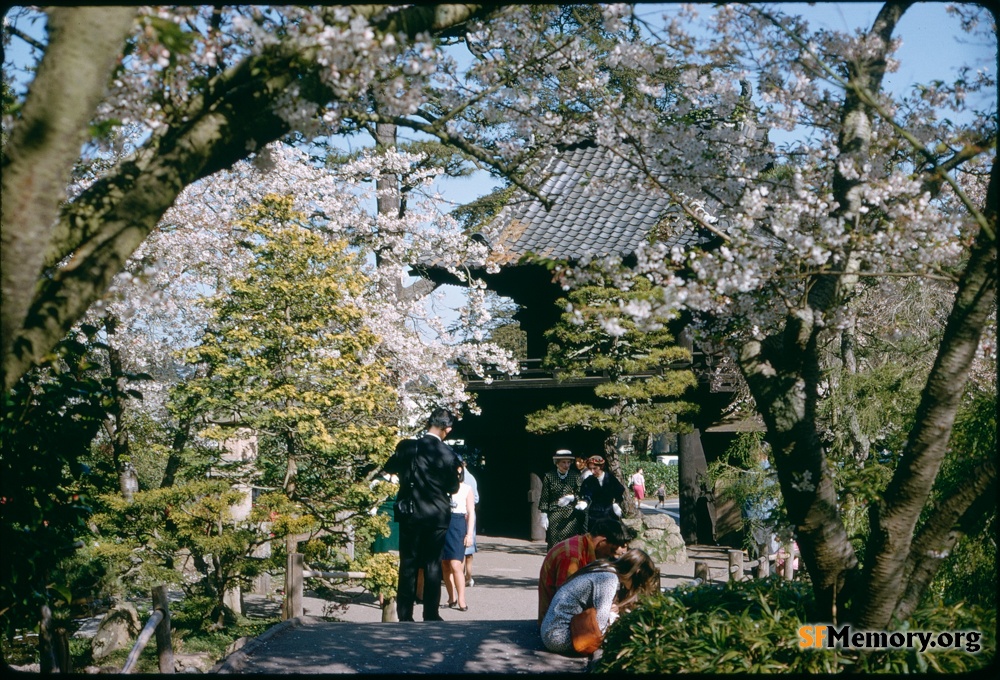 Japanese Tea Garden