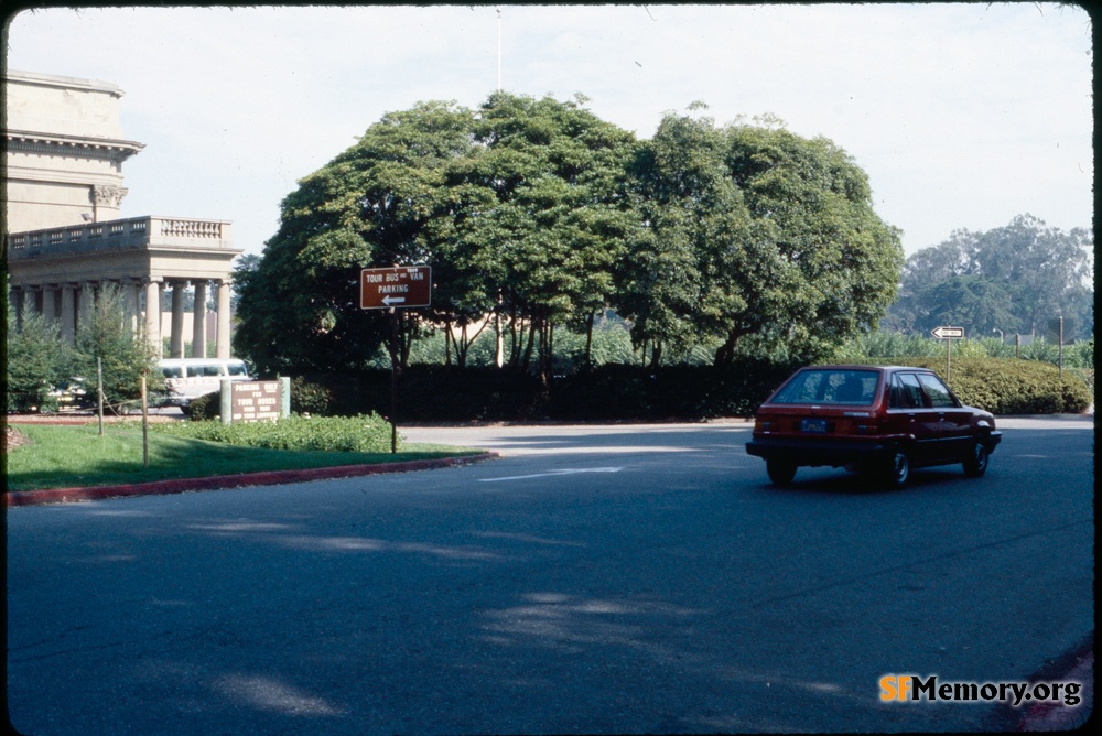 Golden Gate Park