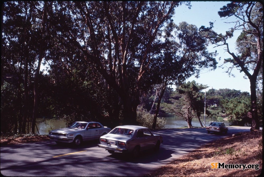 Golden Gate Park