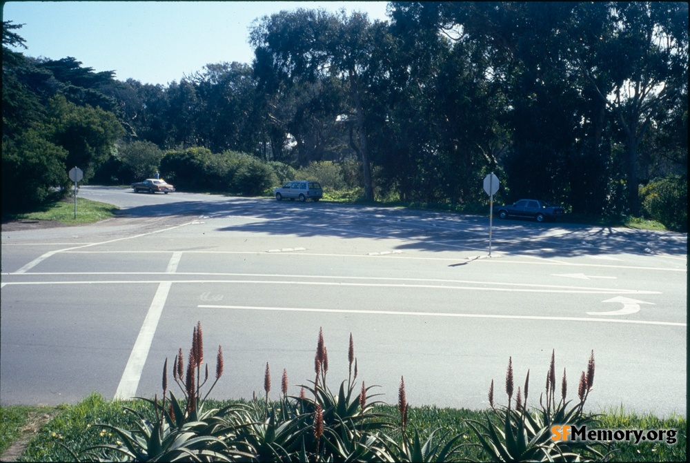 Golden Gate Park