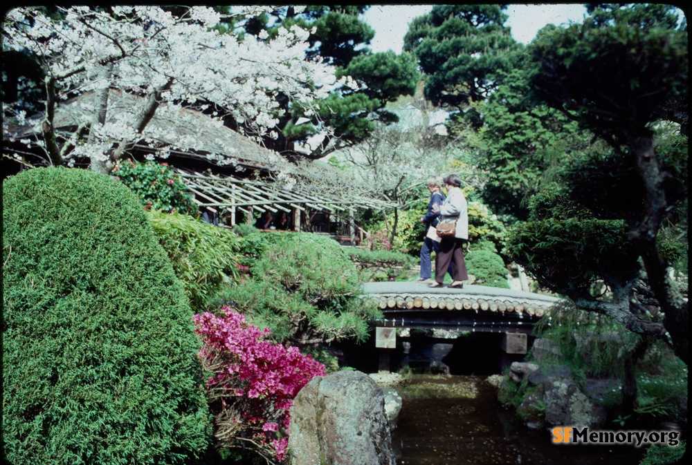 Japanese Tea Garden