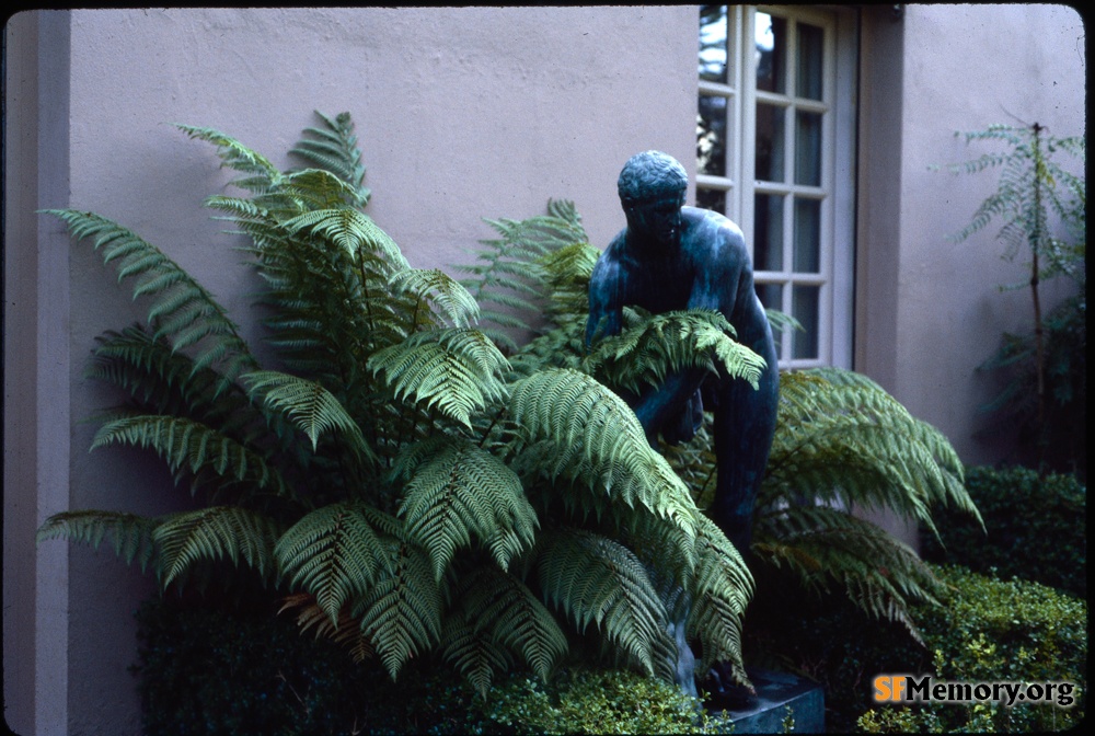 deYoung Museum