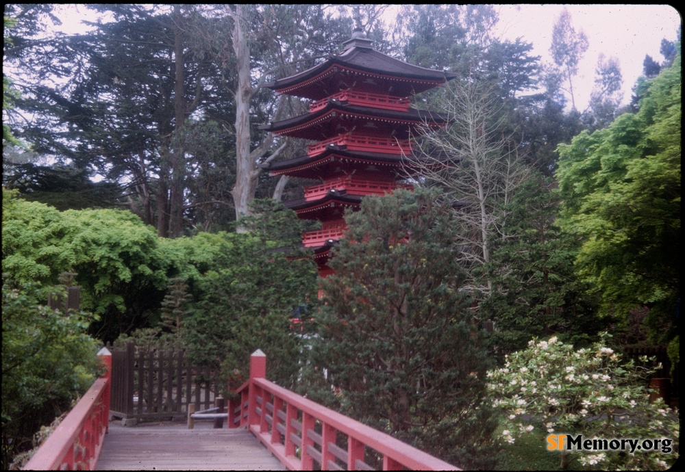 Japanese Tea Garden