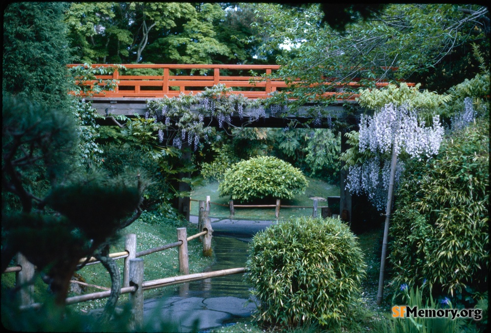 Japanese Tea Garden