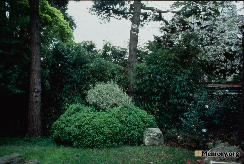 Japanese Tea Garden