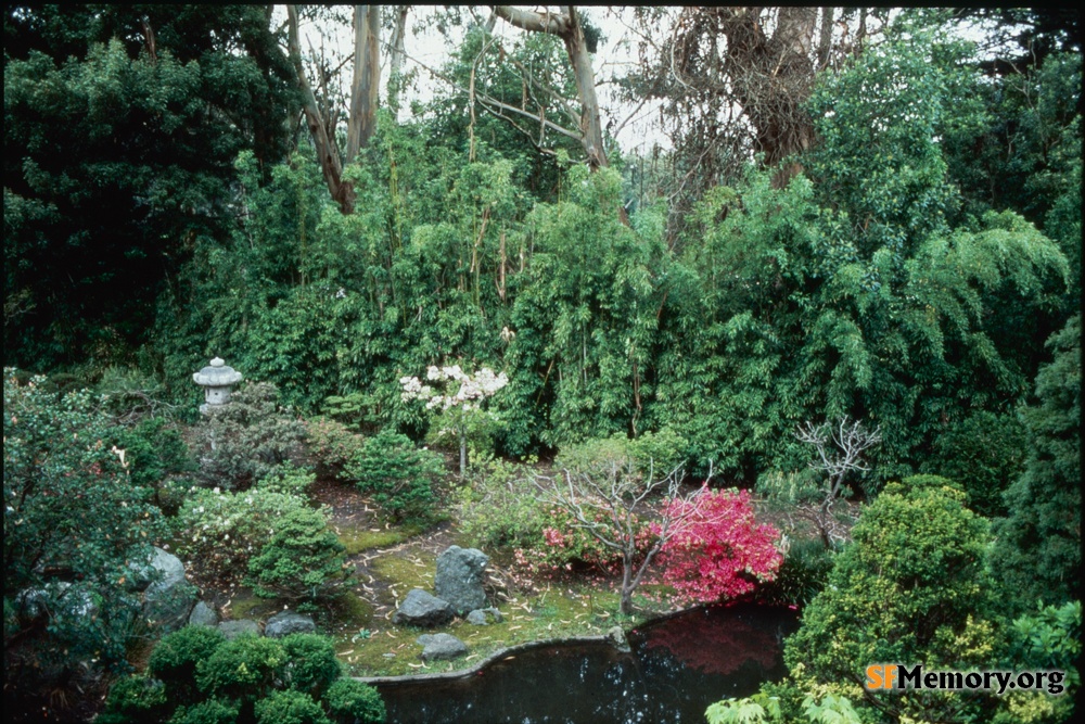 Japanese Tea Garden