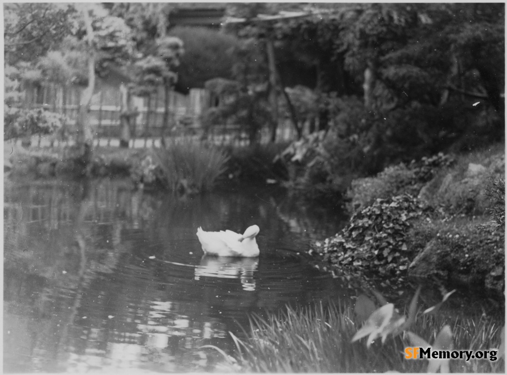 Japanese Tea Garden