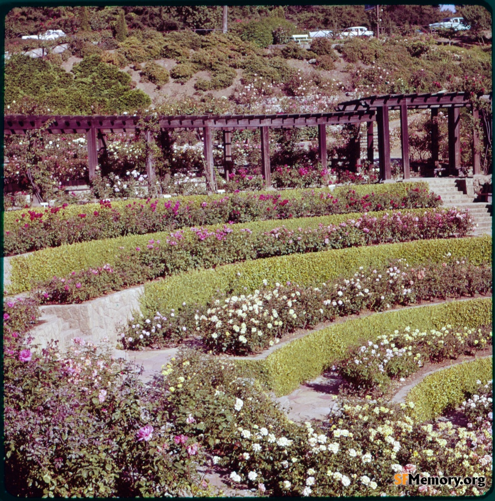 Berkeley Rose Garden