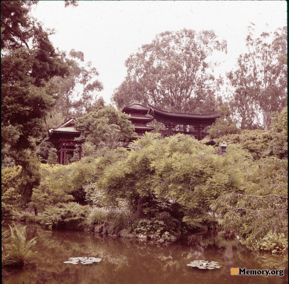 Japanese Tea Garden