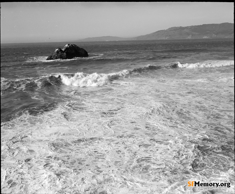 Seal Rocks & Surf