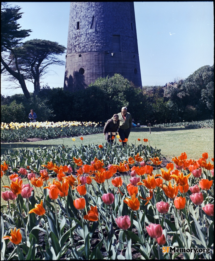 Dutch Windmill