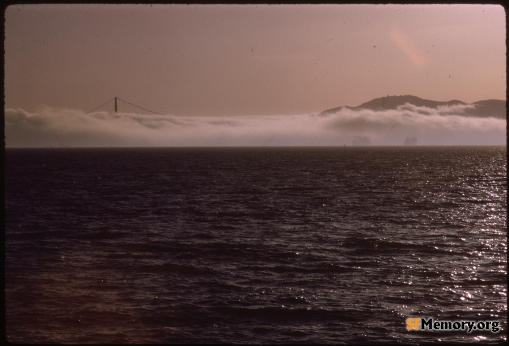 View from SF Bay