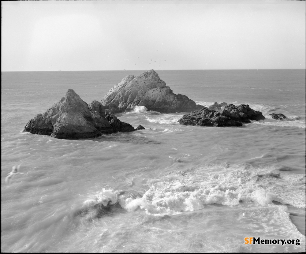 Seal Rocks