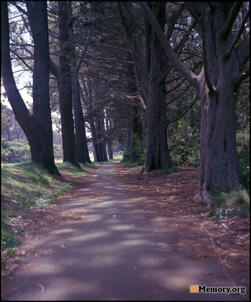 Golden Gate Park