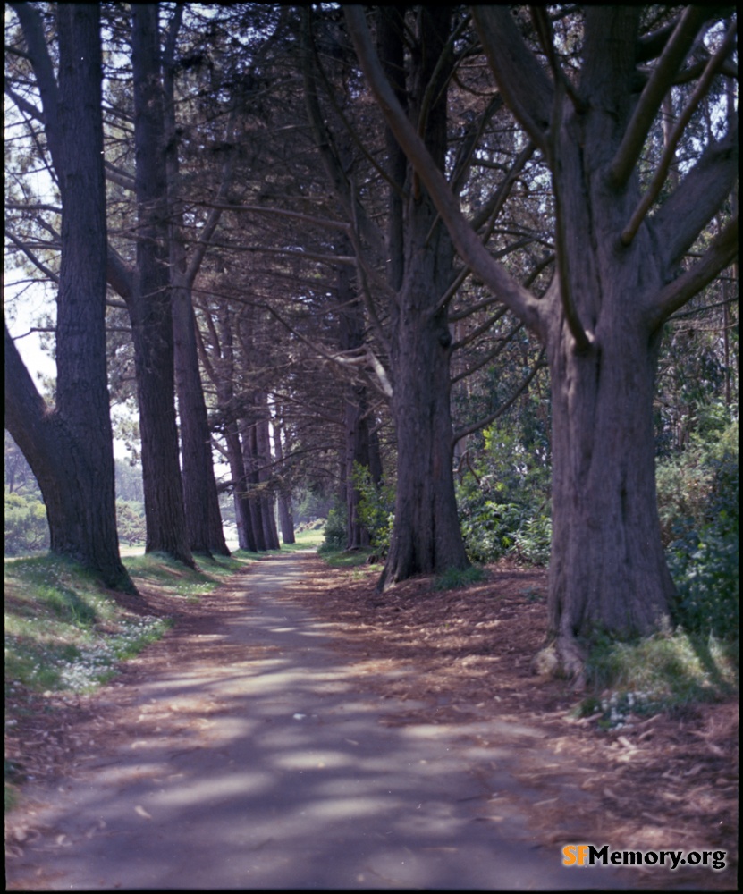 Golden Gate Park