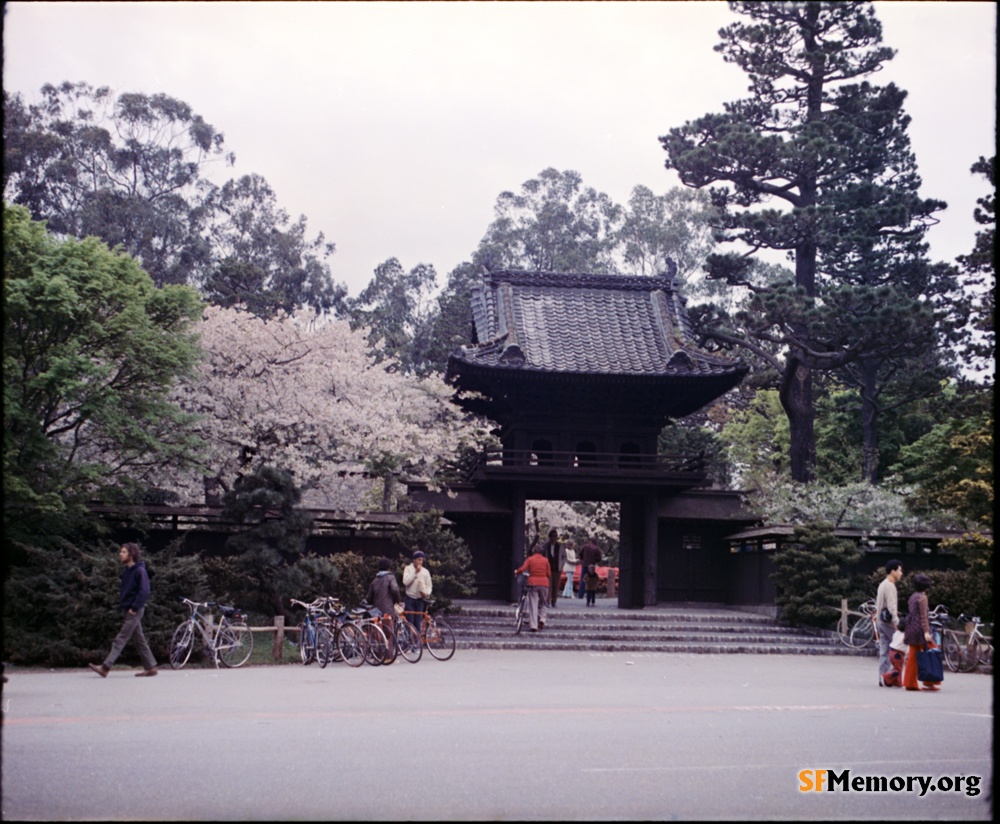 Japanese Tea Garden