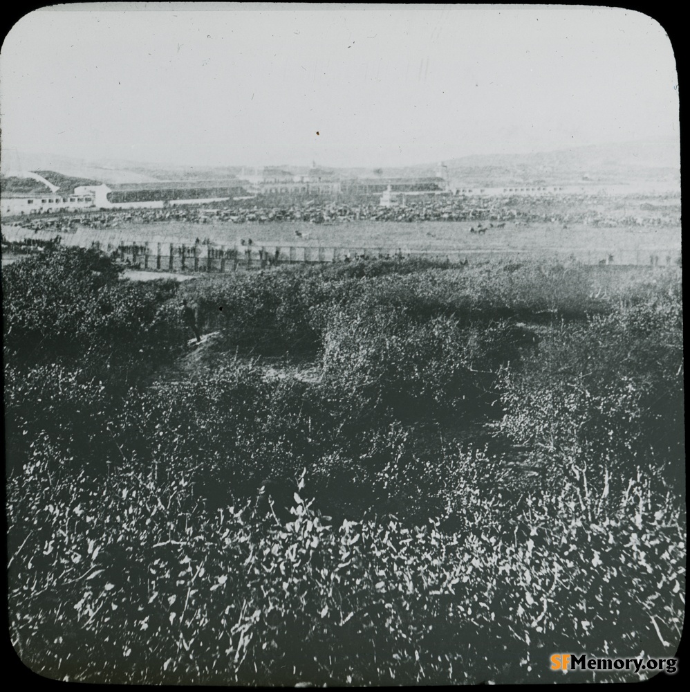 Bay District Racetrack