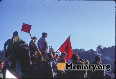 Golden Gate Park, Polo Field