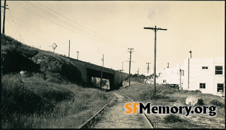 Southern Pacific near Mt. Vernon