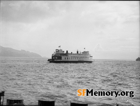 Ferryboat Golden Poppy