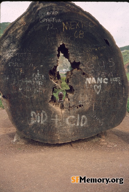 Vista Point