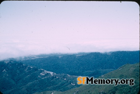 Mt. Tamalpais