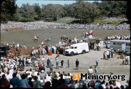 Golden Gate Park