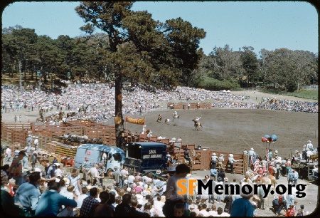 Golden Gate Park