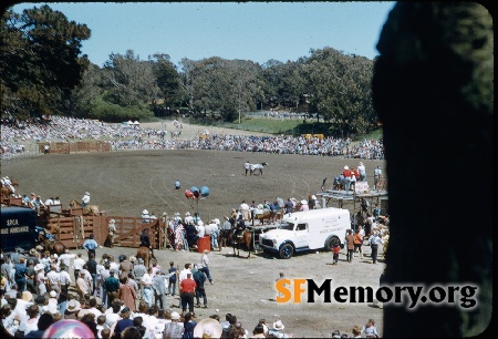 Golden Gate Park