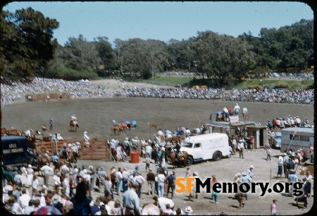 Golden Gate Park