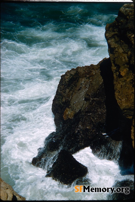 Point Lobos