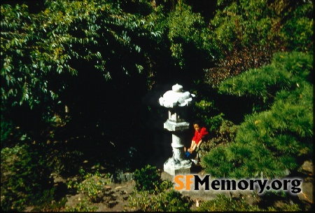 Japanese Tea Garden