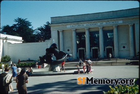 Cal Academy