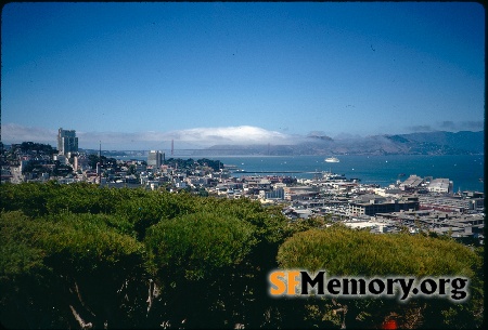 View from Telegraph Hill