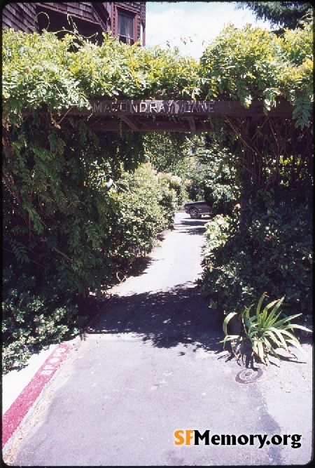 Macondray Lane