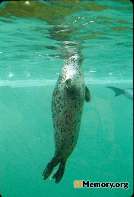 Cal Academy