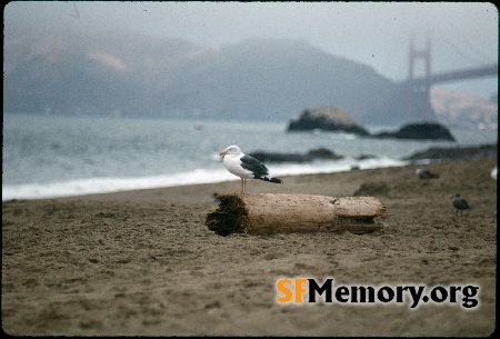 Baker Beach