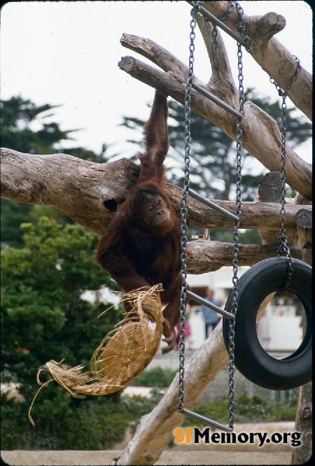 SF Zoo