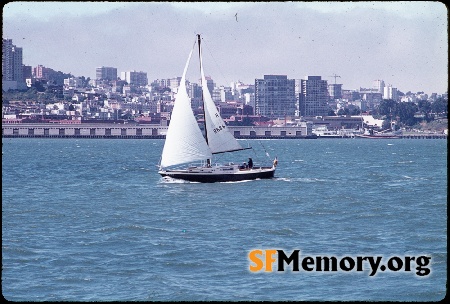 View from SF Bay