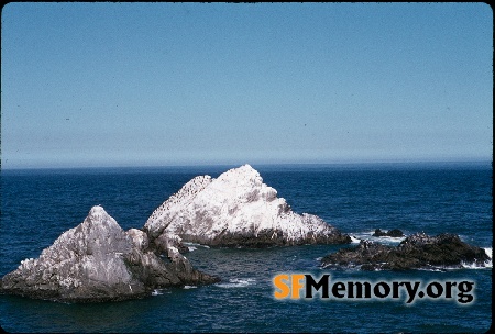 Seal Rocks