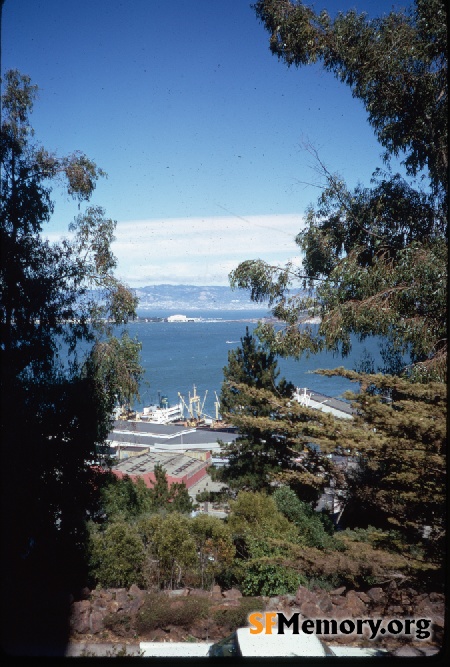 View from Telegraph Hill