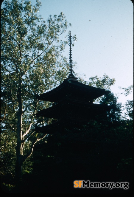 Golden Gate Park