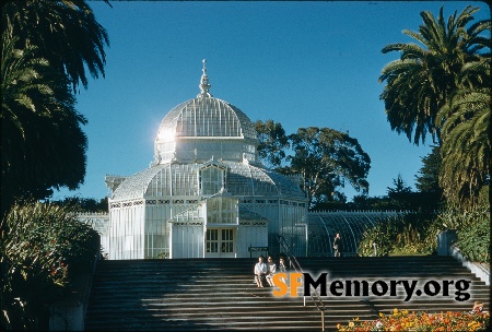 Golden Gate Park